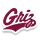 蒙大拿女篮